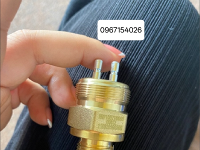 Cảm biến số nhanh, chậm