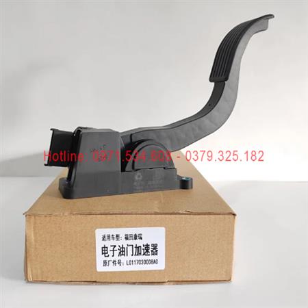 Chân ga L0117030008A0