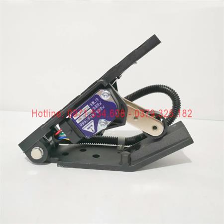 Bàn đạp ga D88A-007-800