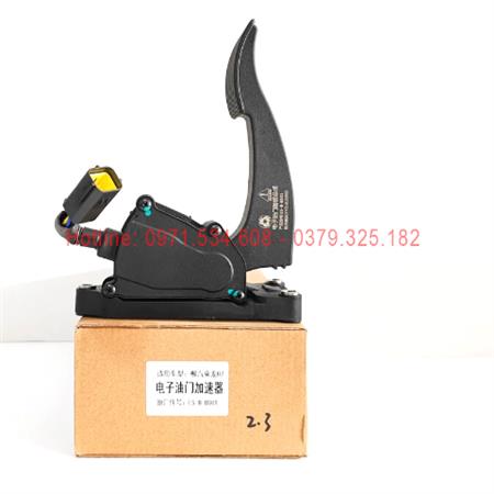 Bàn đạp ga ES-B-BS01