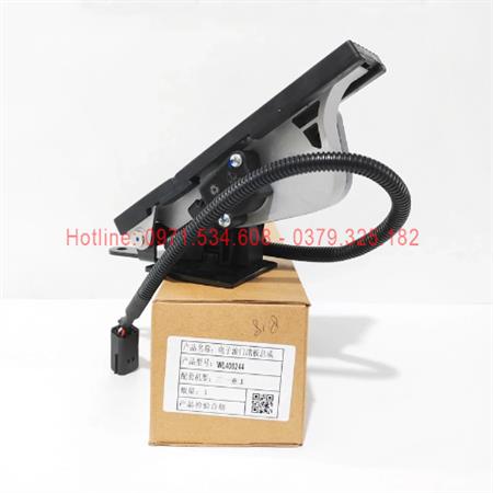 Bàn đạp ga WL400244