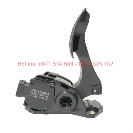 Bàn đạp ga 811W25970-6103