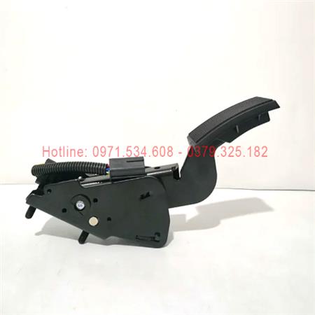 Bàn đạp ga E3000-3823800HS