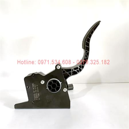 Bàn đạp ga 202105 XY