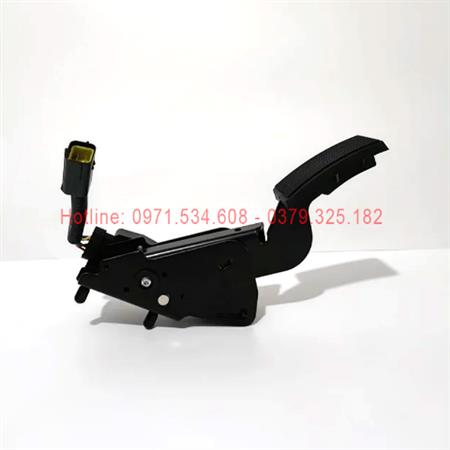 Bàn đạp ga G0117030014A0