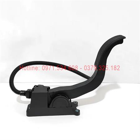 Chân ga 11083001037D003A