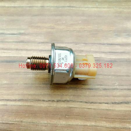 Cảm biến áp suất đường ray 45PP3-6