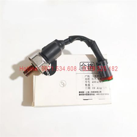 Cảm biến áp suất đường ray 4954245