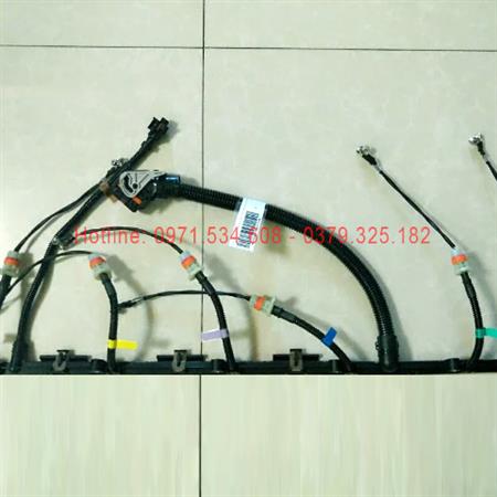 Bộ dây kim phun Weichai P12