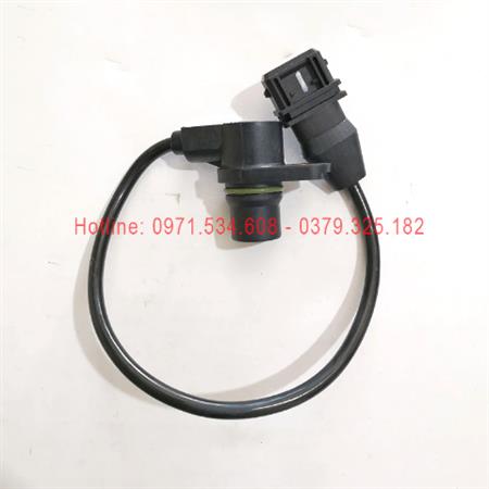 Cảm biến trục cam 3602130B98D