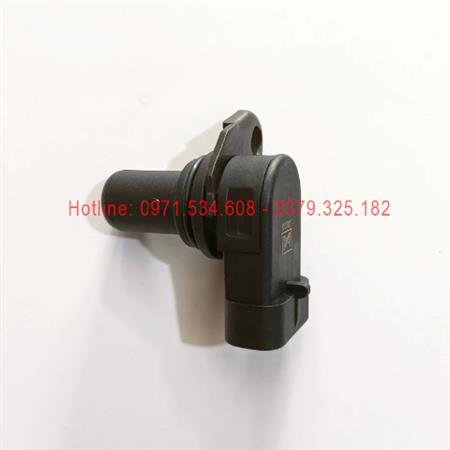 Cảm biến trục cam Delphi 25372486