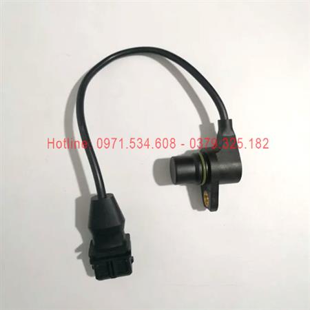 Cảm biến trục cam F04194021/A