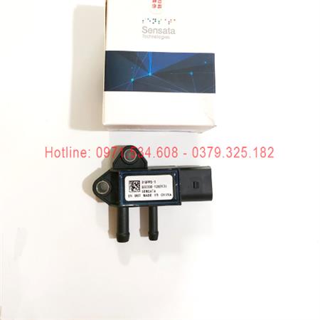 Cảm biến áp suất chênh lệch 31MPP5-1