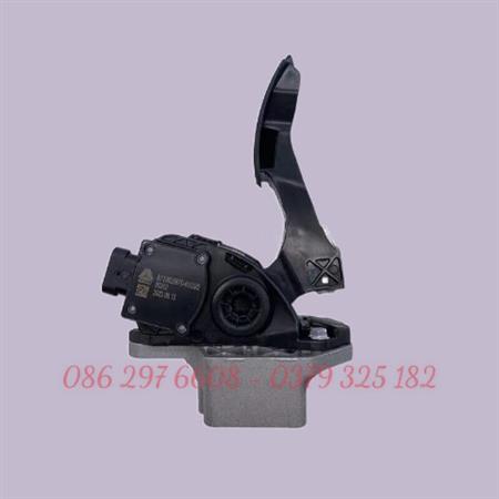 Bàn đạp chân ga T5G 811W25970-6103